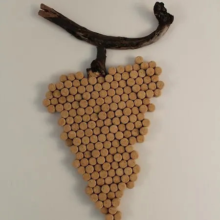 A L'oree Des Vignes, Superbe De 80 M2