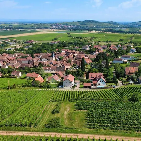 Apartamento A L'oree Des Vignes, Superbe De 80 M2